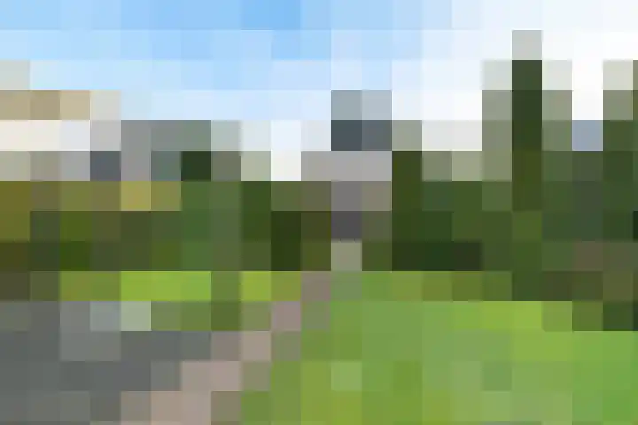 Eabekamp 3 Boornbergum thumbnail 36