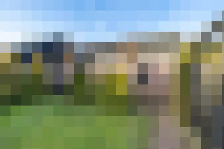 Eabekamp 3 Boornbergum thumbnail 37