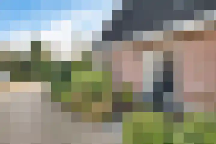 Eabekamp 3 Boornbergum thumbnail 5