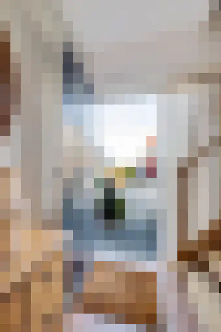 Eabekamp 3 Boornbergum thumbnail 6