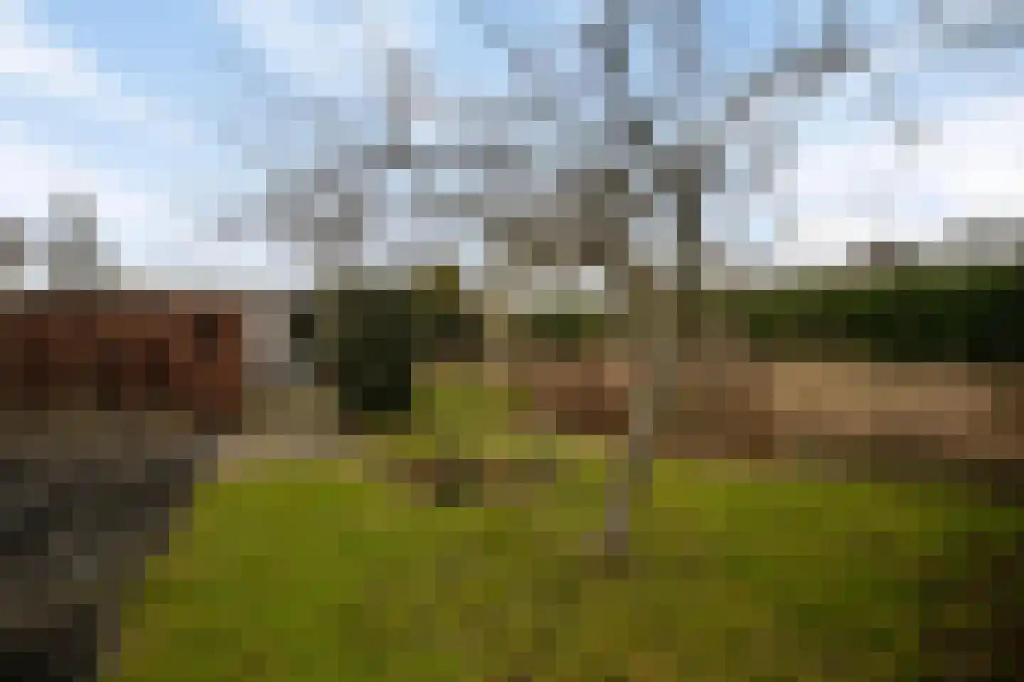 Eaglelaan 39 Lelystad thumbnail 31