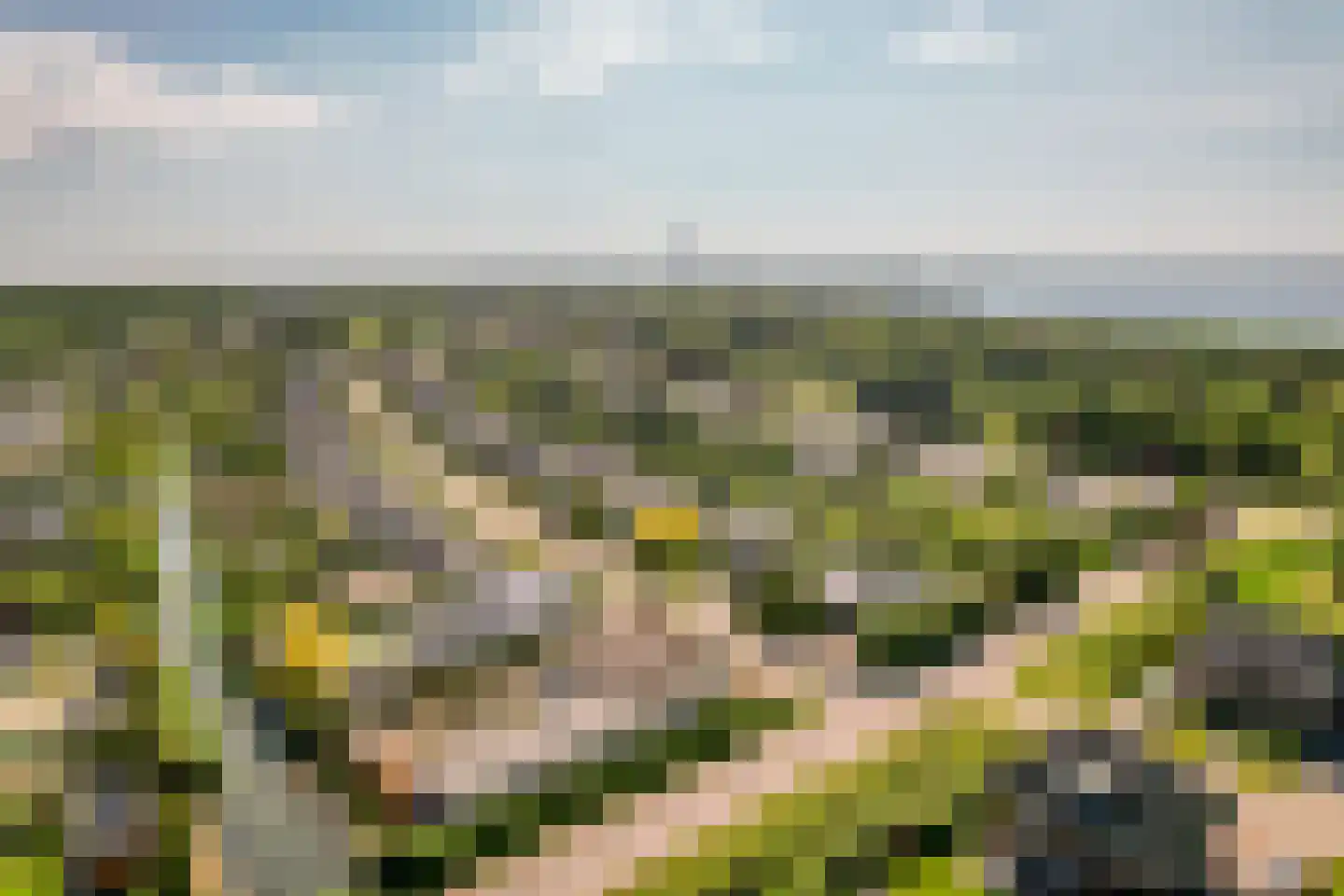 Eaglelaan 7 Lelystad thumbnail 54