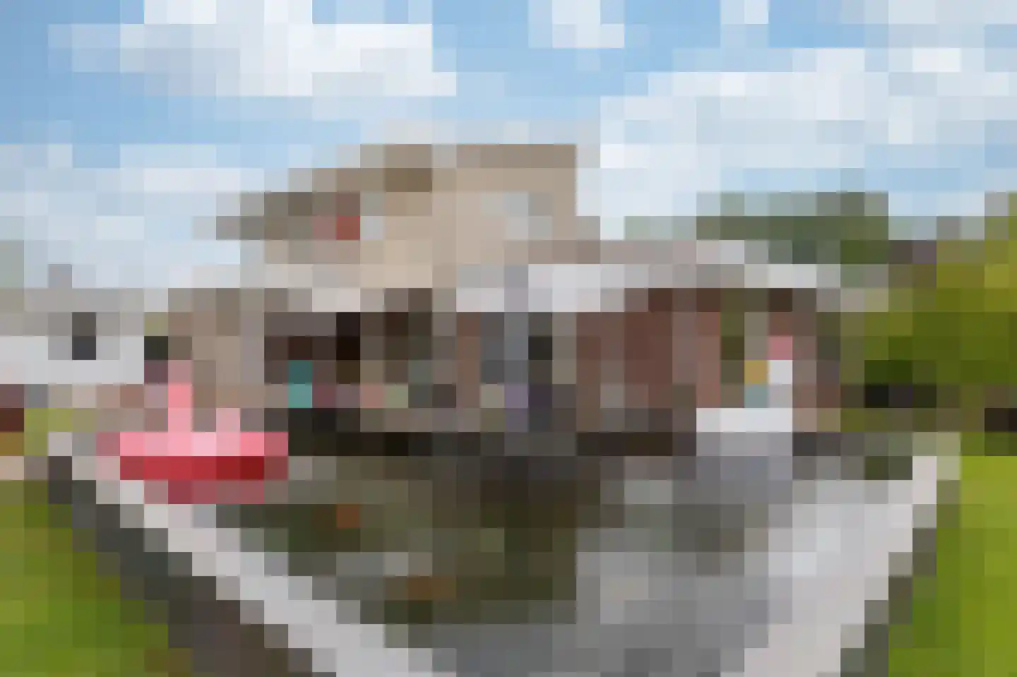 Eaglelaan 94 Lelystad thumbnail 49