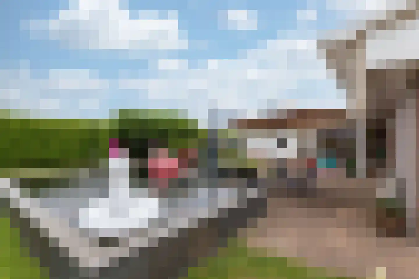 Eaglelaan 94 Lelystad thumbnail 52