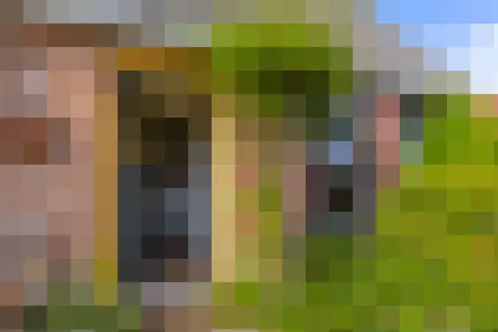 Eastein 12 Peazens thumbnail 4