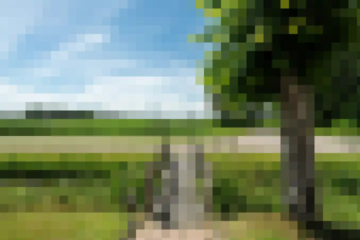 Eastein 26 Peazens thumbnail 35