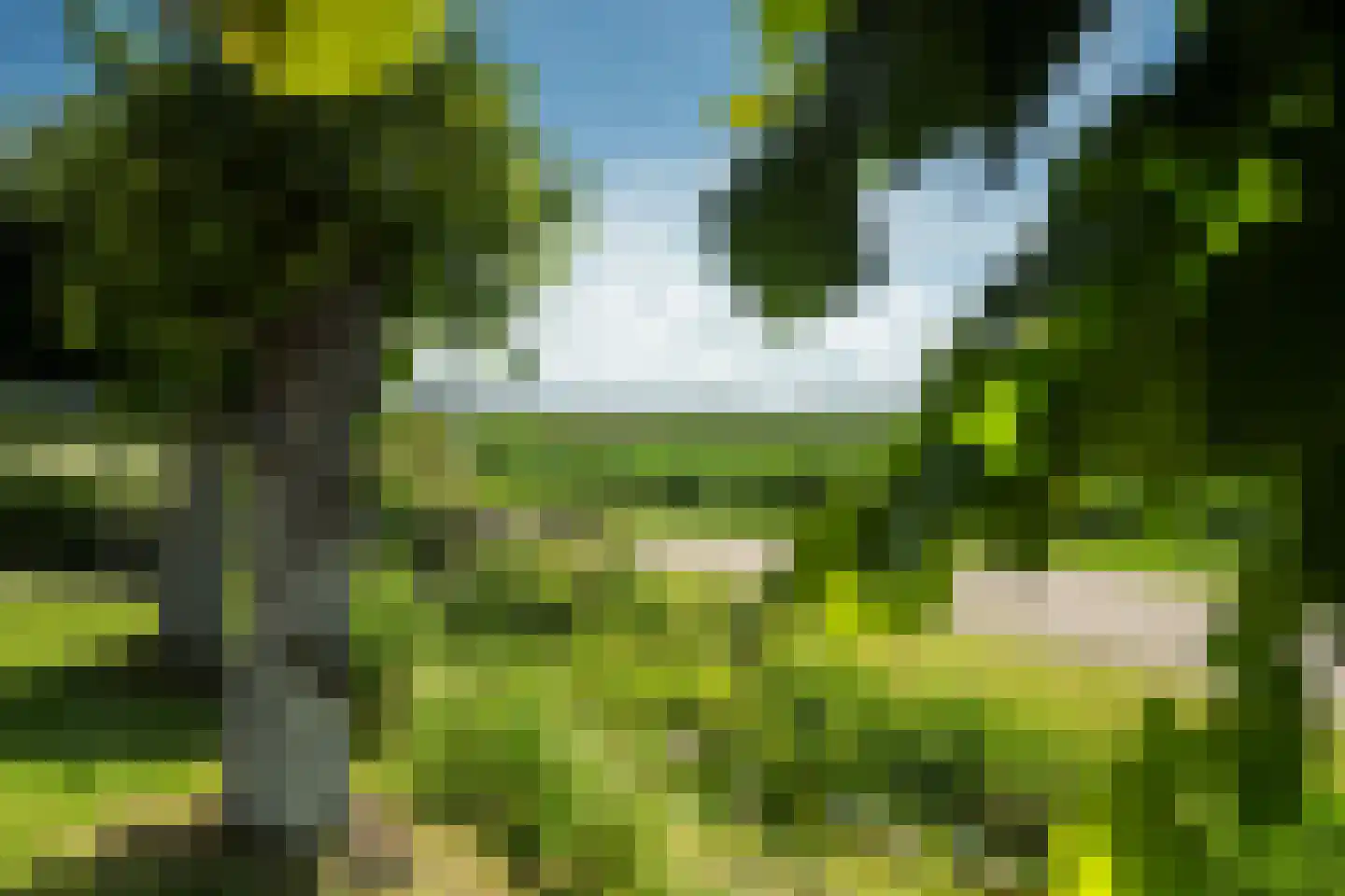 Eastein 26 Peazens thumbnail 36