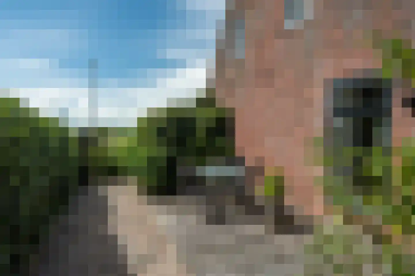 Eastein 26 Peazens thumbnail 39