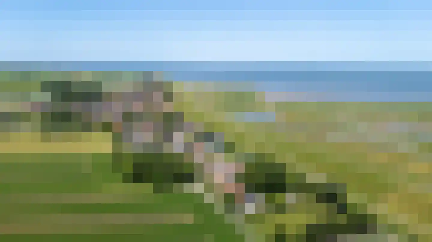 Eastein 26 Peazens thumbnail 4