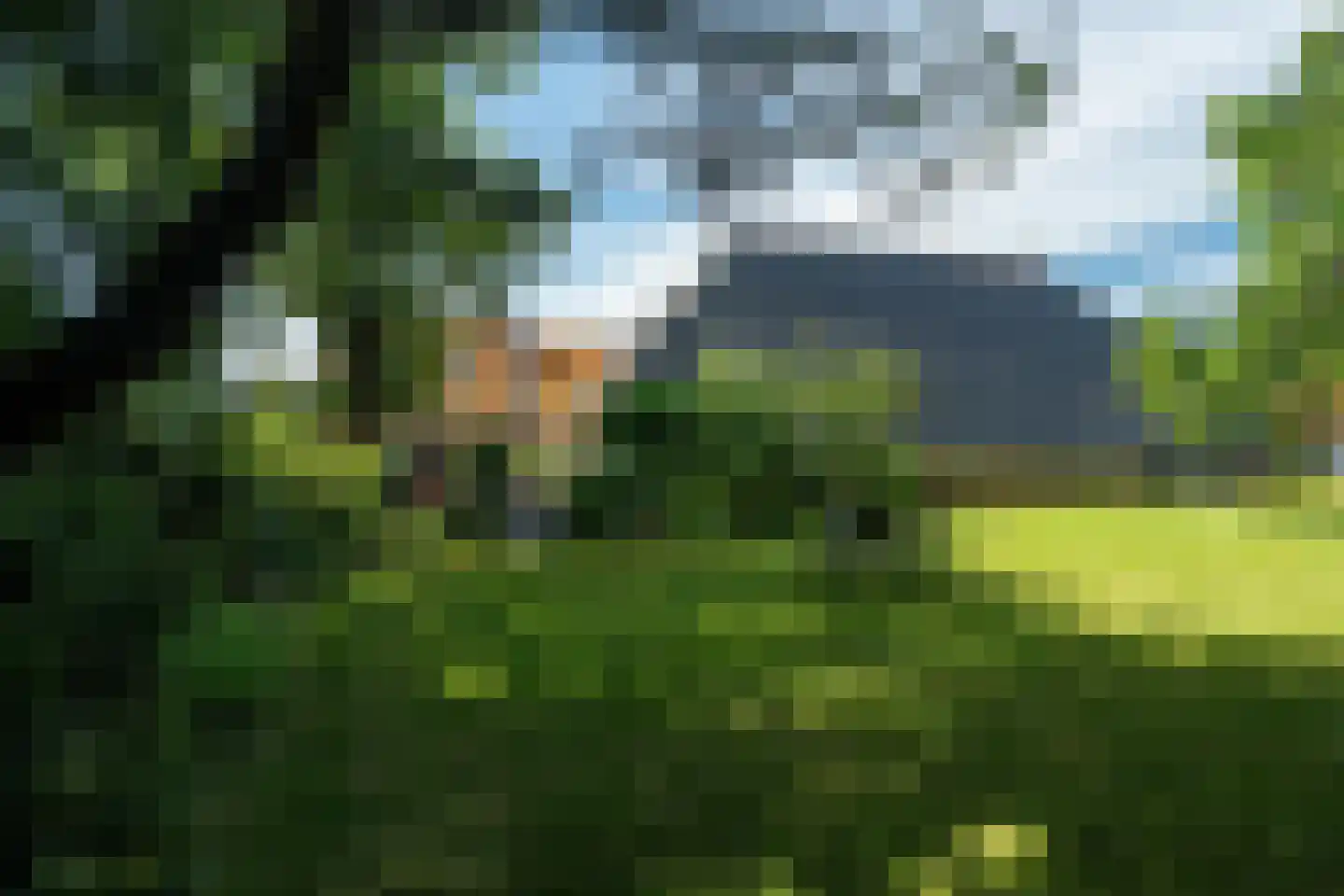 Eastein 26 Peazens thumbnail 45