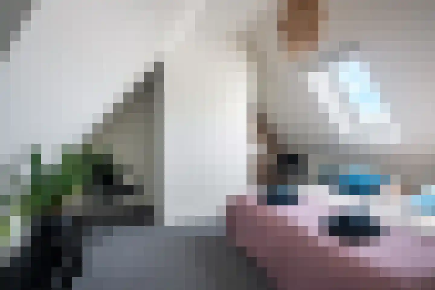 Eastein 26 Peazens thumbnail 73