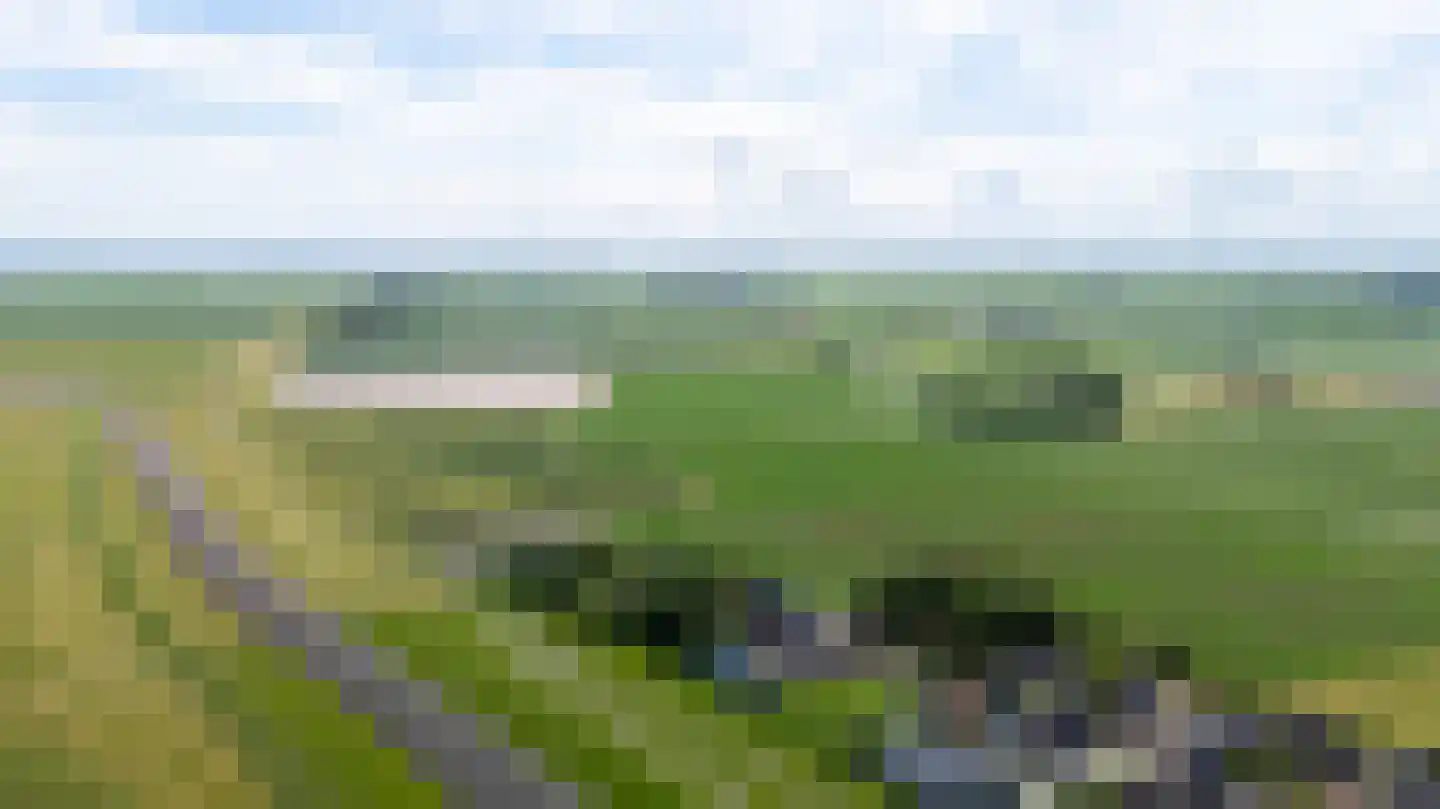 Eastein 26 Peazens thumbnail 79