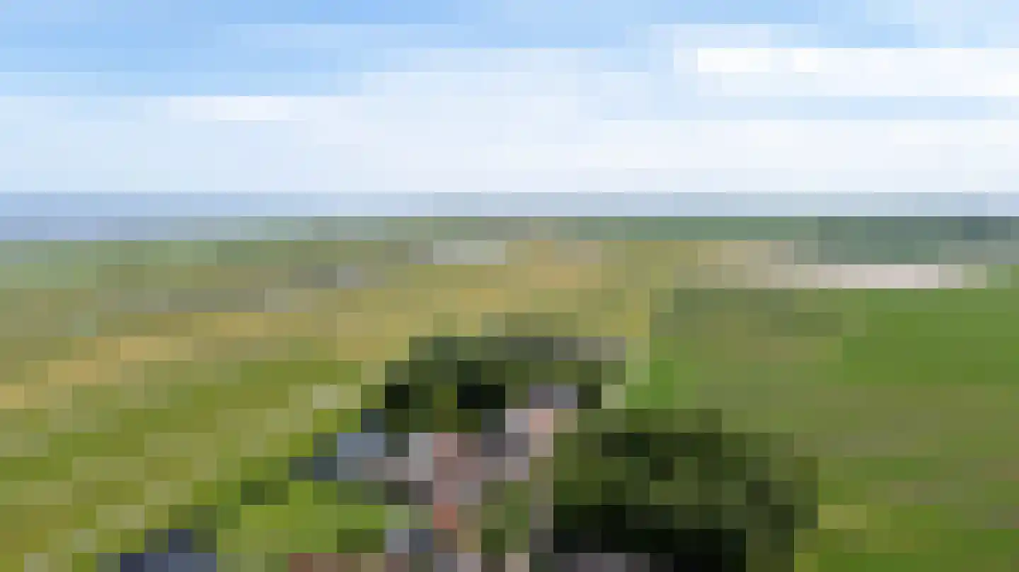 Eastein 26 Peazens thumbnail 81