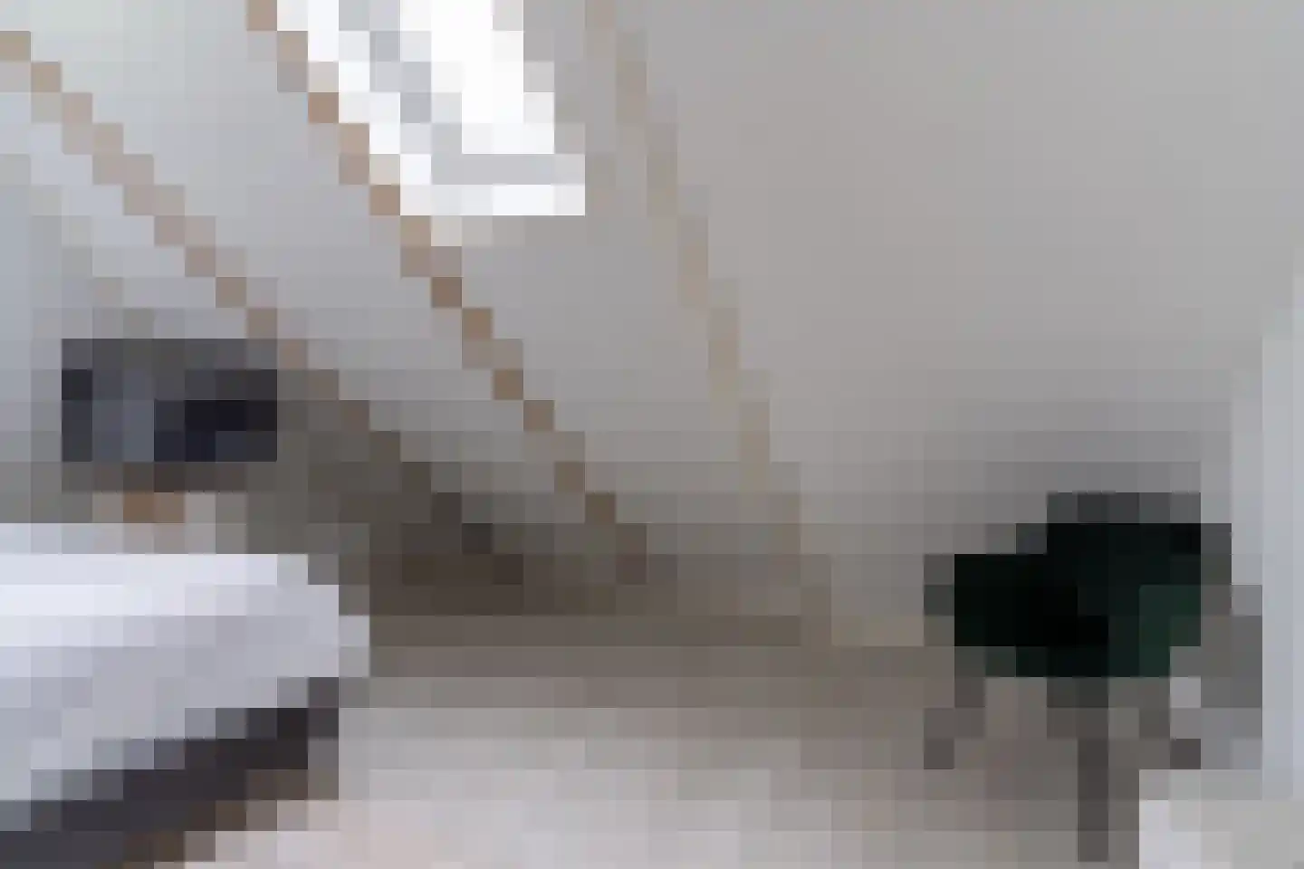 Eastein 3 Peazens thumbnail 39