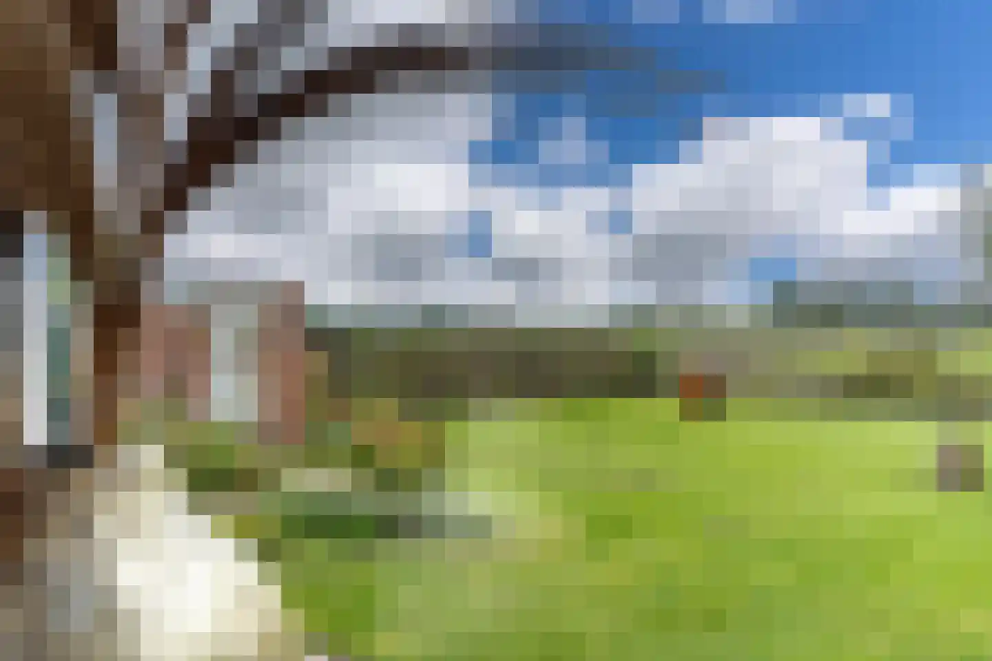Eastein 3 Peazens thumbnail 5