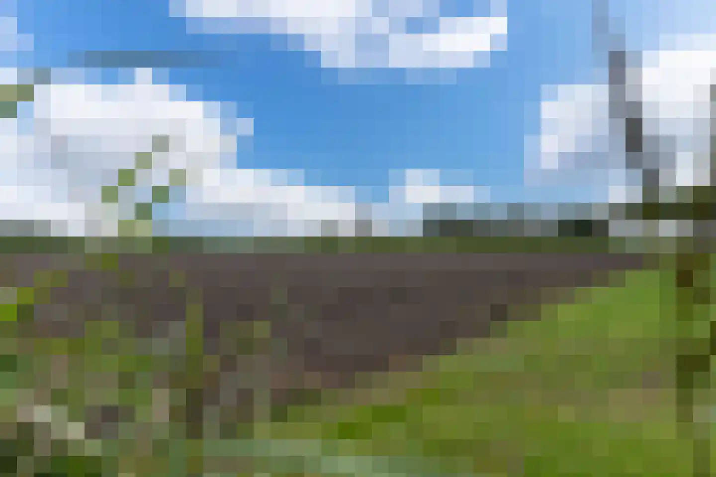 Eastein 3 Peazens thumbnail 53
