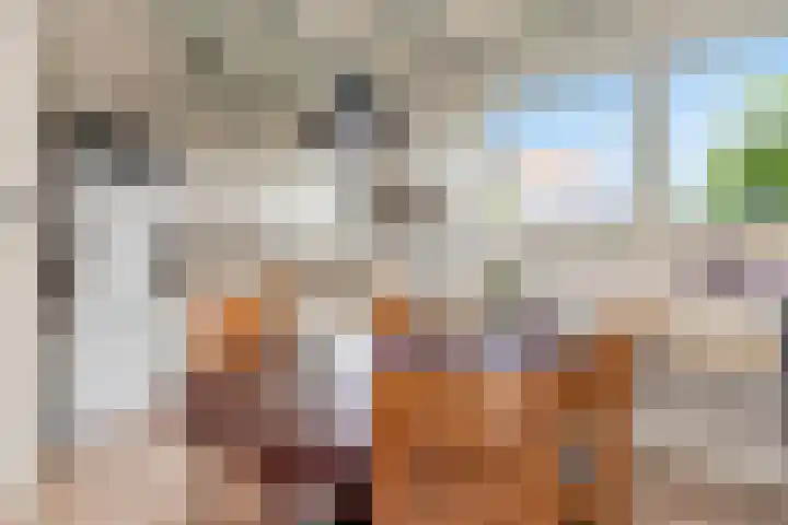 Eastein 5 Aldeboarn thumbnail 16