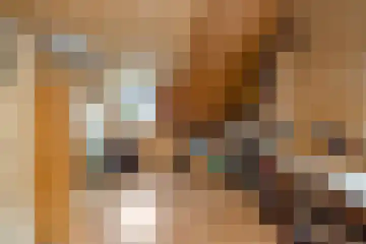 Eastein 5 Aldeboarn thumbnail 25