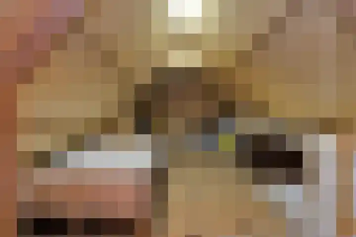 Eastein 5 Aldeboarn thumbnail 28
