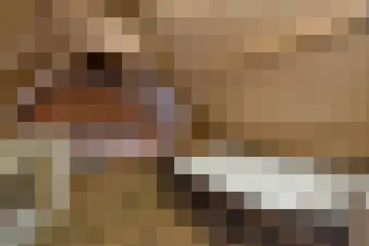 Eastein 5 Aldeboarn thumbnail 30
