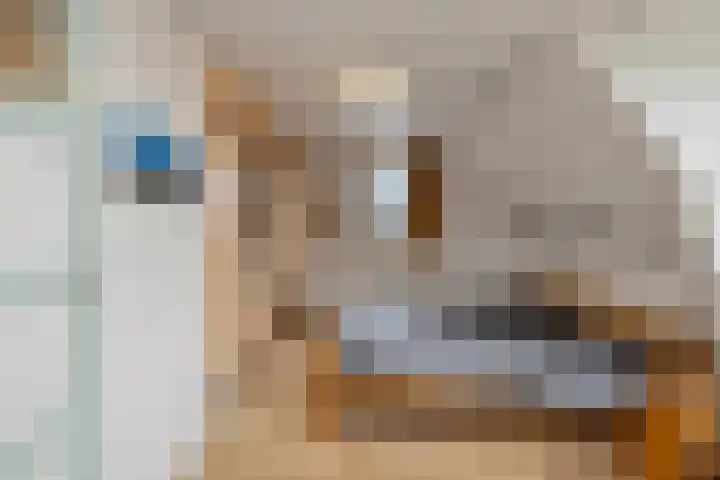 Eastein 5 Aldeboarn thumbnail 31