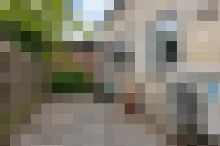 Eastein 5 Aldeboarn thumbnail 35