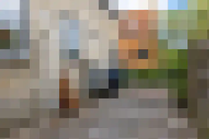 Eastein 5 Aldeboarn thumbnail 36