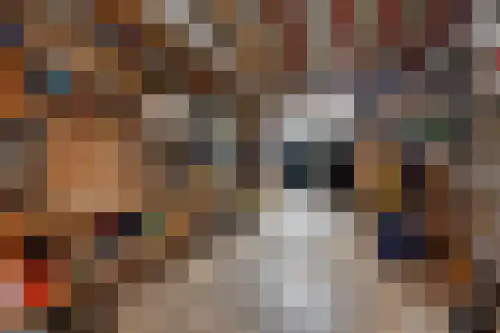 Eastein 5 Aldeboarn thumbnail 38