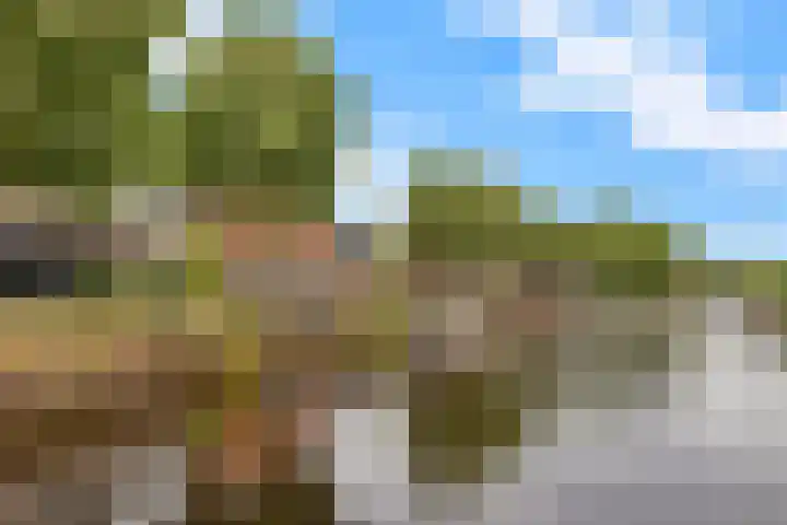 Eastein 5 Aldeboarn thumbnail 4