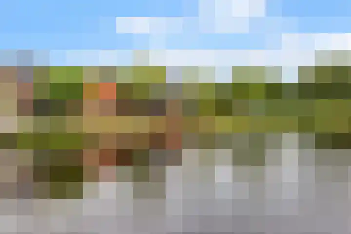 Eastein 5 Aldeboarn thumbnail 40