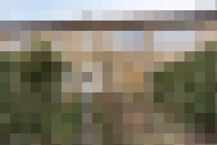 Easter Omwei 13 Hurdegaryp thumbnail 22