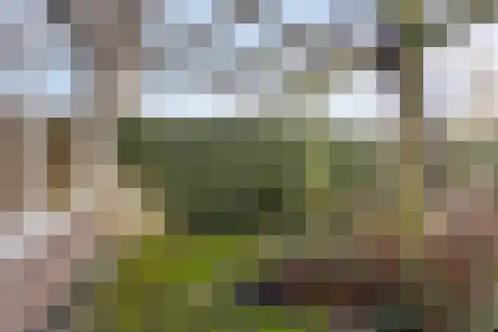 Easter Omwei 13 Hurdegaryp thumbnail 23