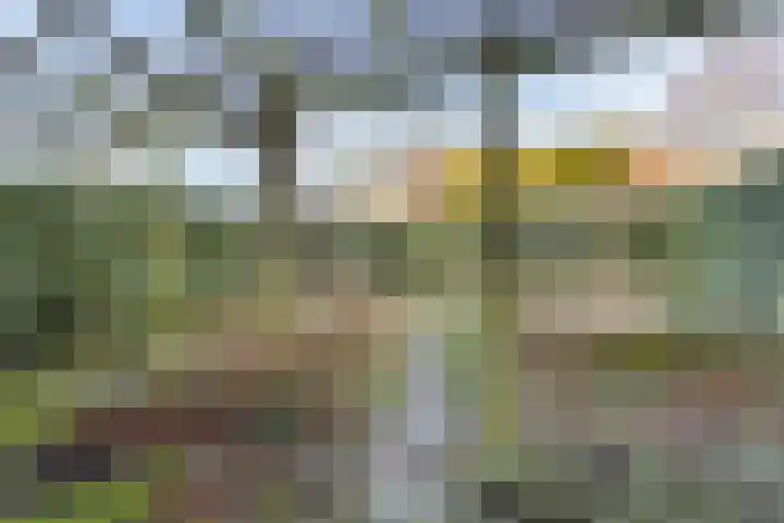 Easter Omwei 13 Hurdegaryp thumbnail 24
