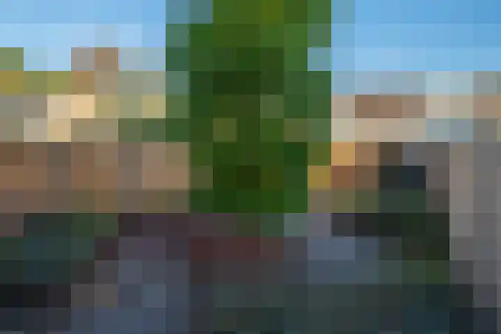 Easter Omwei 29 Hurdegaryp thumbnail 37