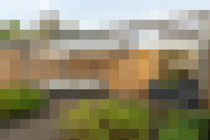 Easter Omwei 29 Hurdegaryp thumbnail 38