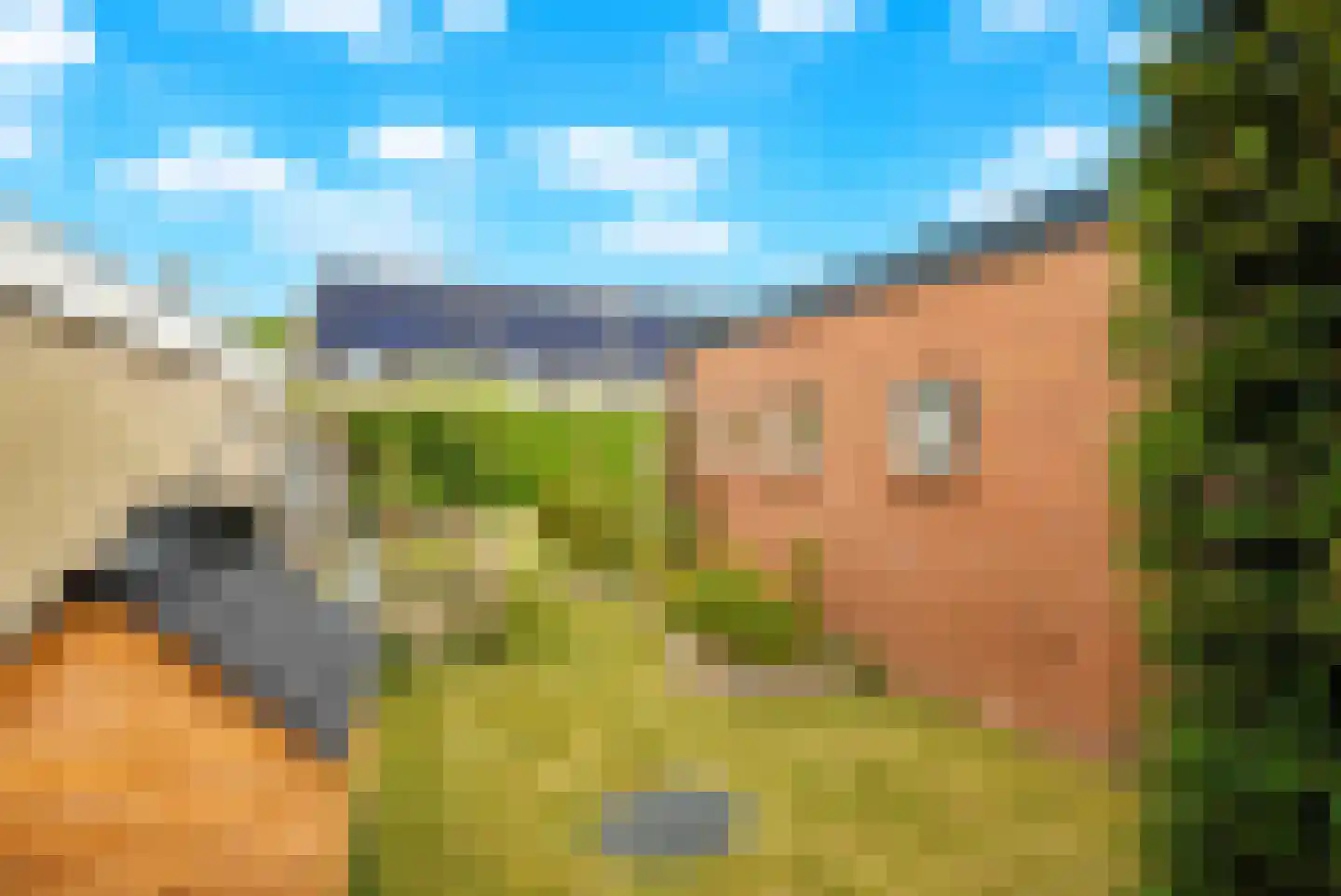Easterein 16 Garyp thumbnail 10
