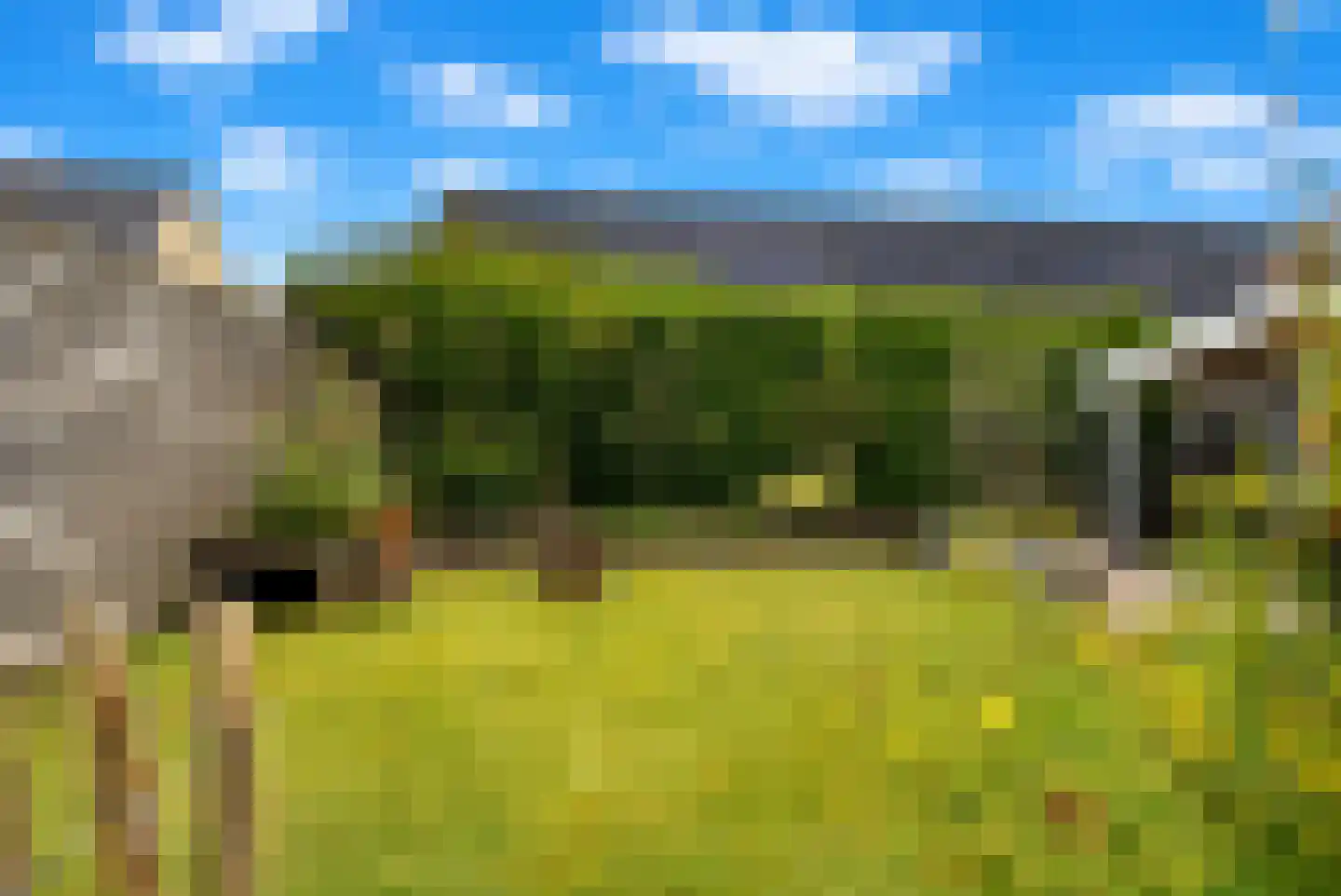 Easterein 16 Garyp thumbnail 11