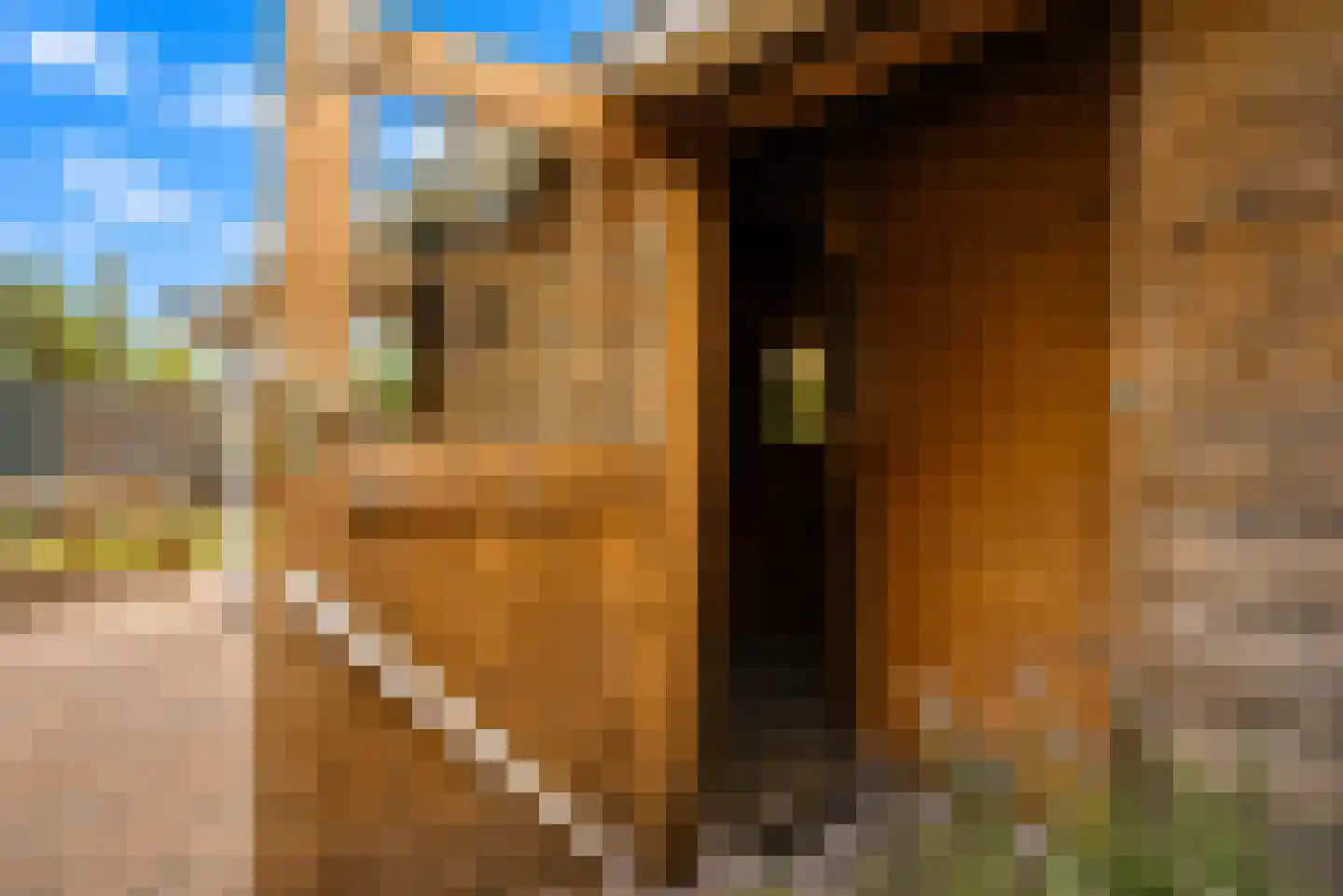 Easterein 16 Garyp thumbnail 17