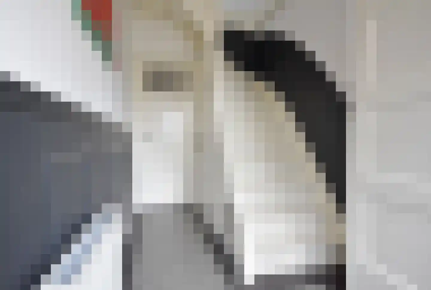 Easterein 16 Garyp thumbnail 22