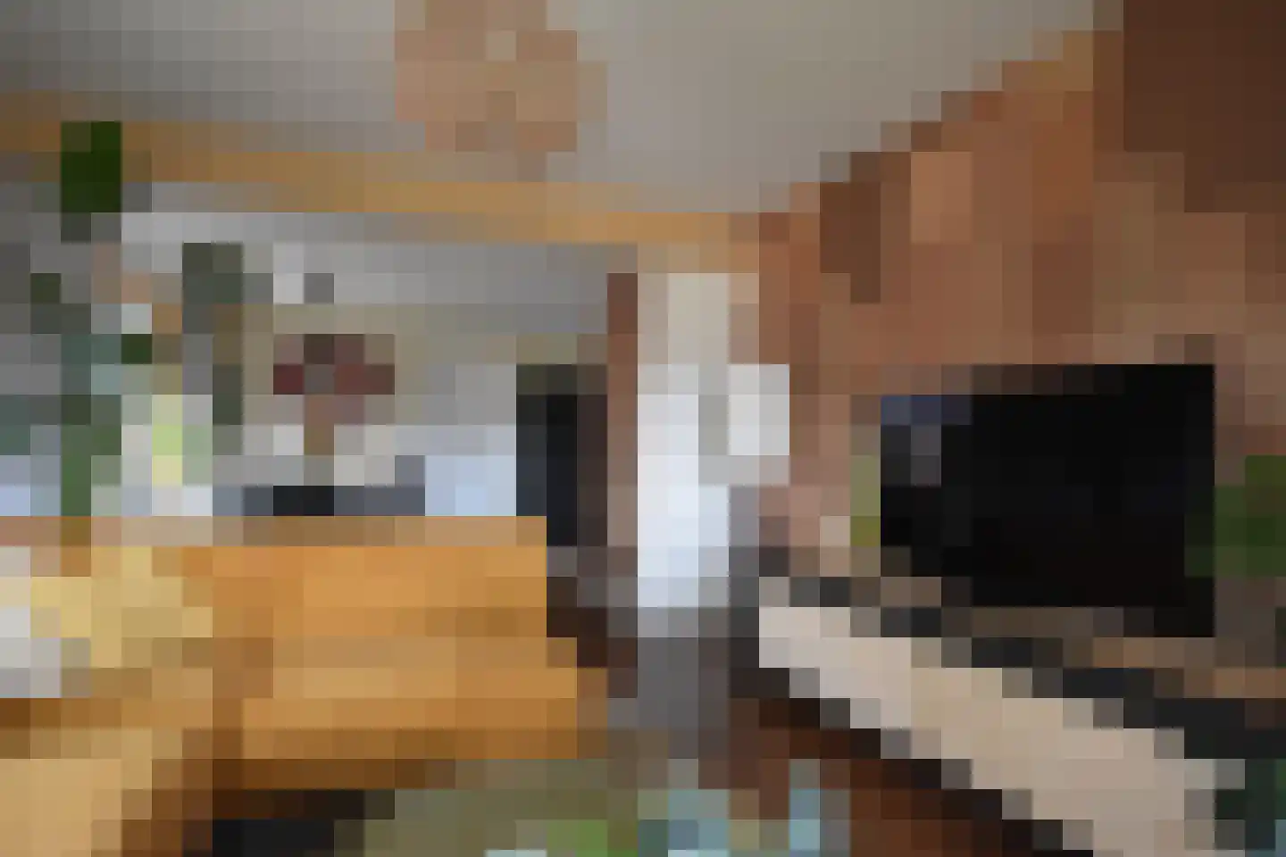 Easterein 16 Garyp thumbnail 30