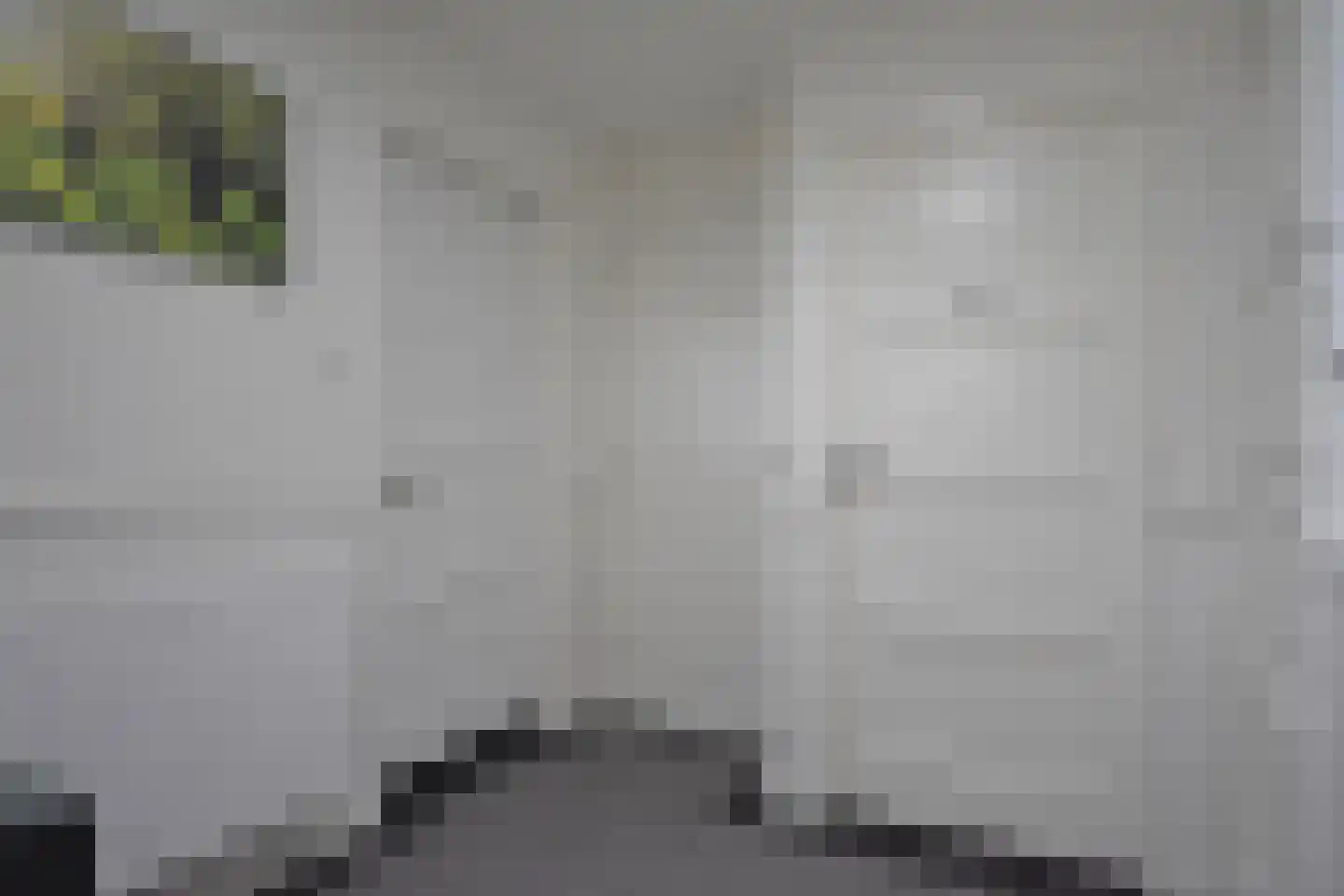 Easterein 16 Garyp thumbnail 34