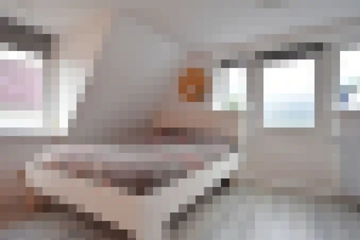 Easterein 16 Garyp thumbnail 53