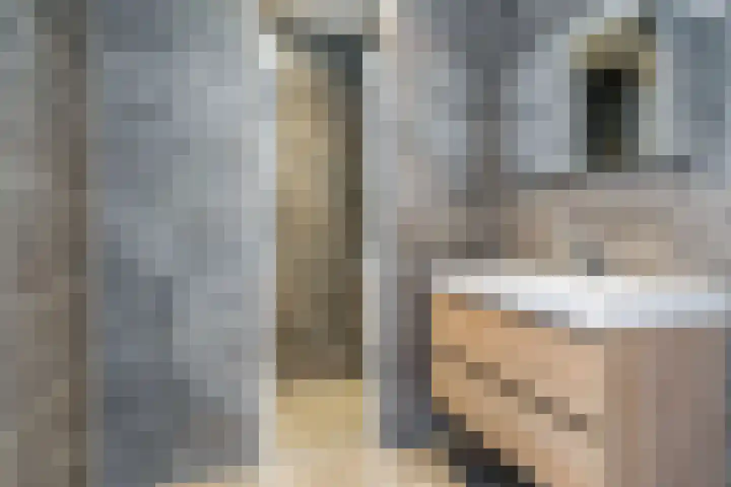 Easterstrjitte 1 Marrum thumbnail 22