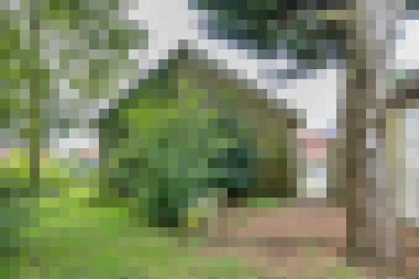 Easthimmerwei 19 Folsgare thumbnail 28