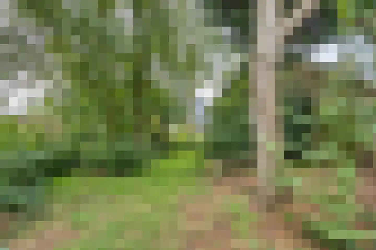Easthimmerwei 19 Folsgare thumbnail 29