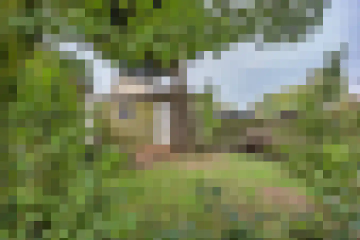 Easthimmerwei 19 Folsgare thumbnail 30
