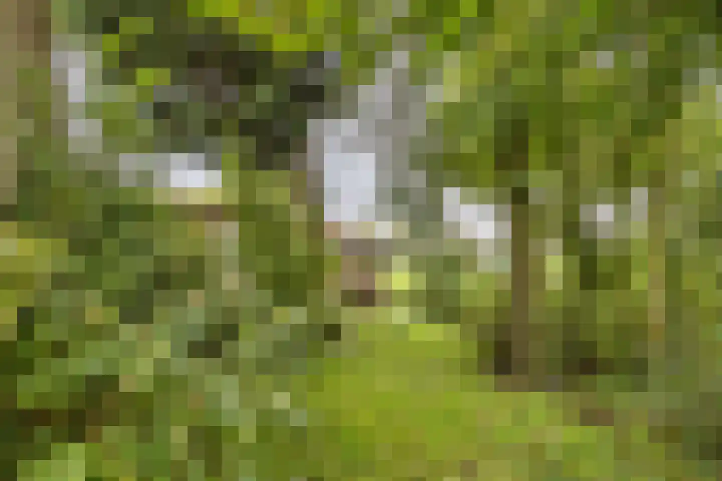 Easthimmerwei 19 Folsgare thumbnail 31