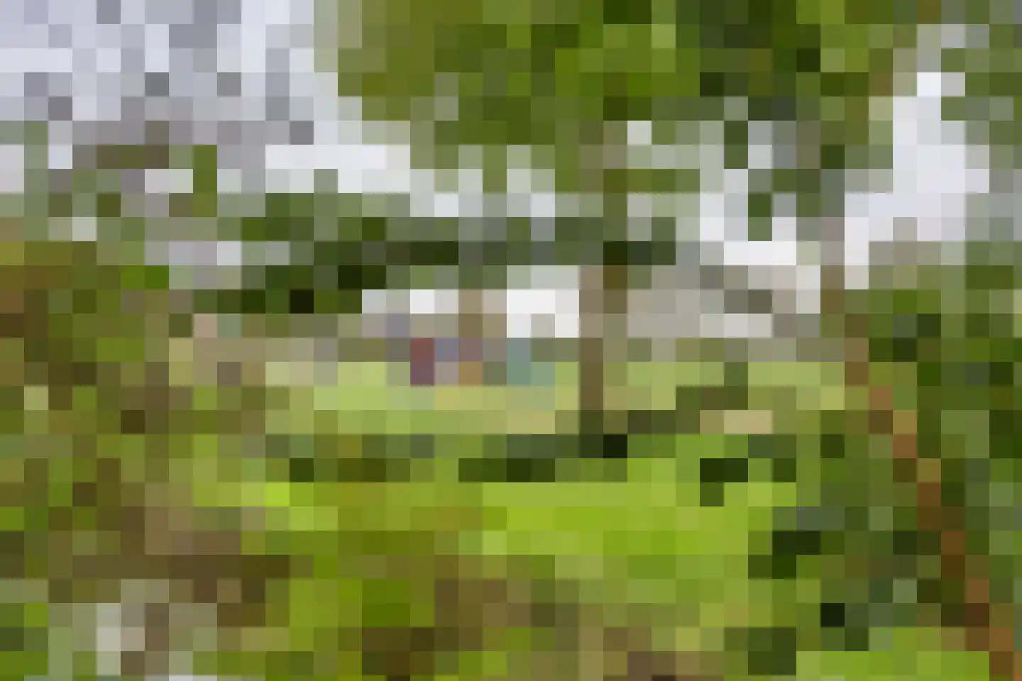 Easthimmerwei 19 Folsgare thumbnail 32