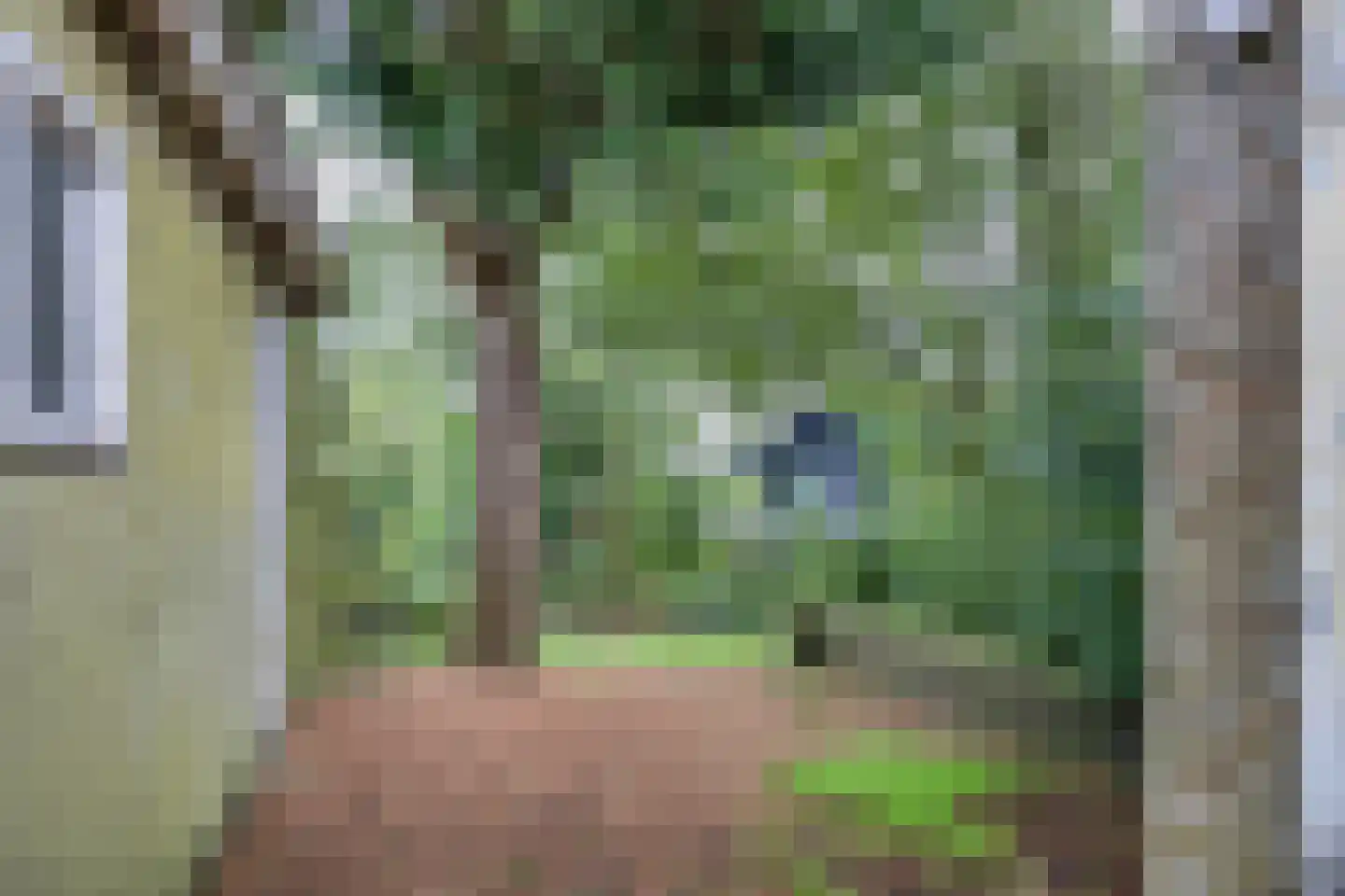Easthimmerwei 19 Folsgare thumbnail 33