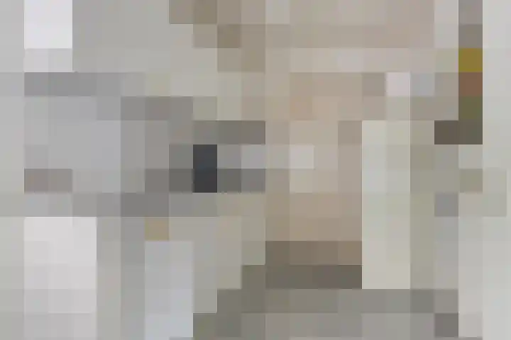Easthimmerwei 20 Folsgare thumbnail 14